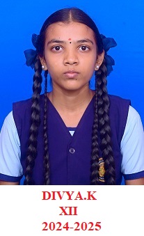 Blue-Stars-Hr-Sec-School-Pondicherry